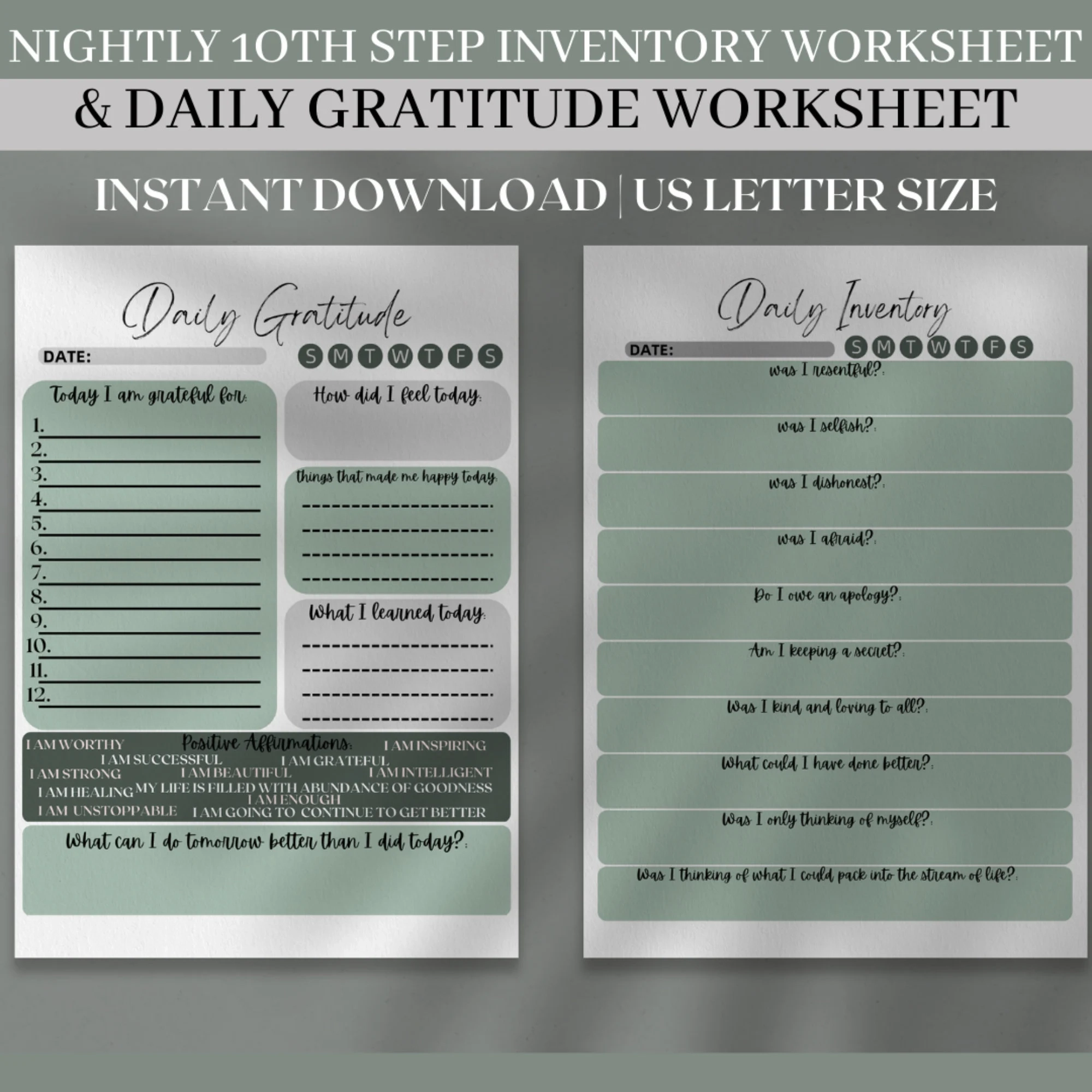 10th Step Nightly Inventory Worksheet Daily Gratitude Journal 