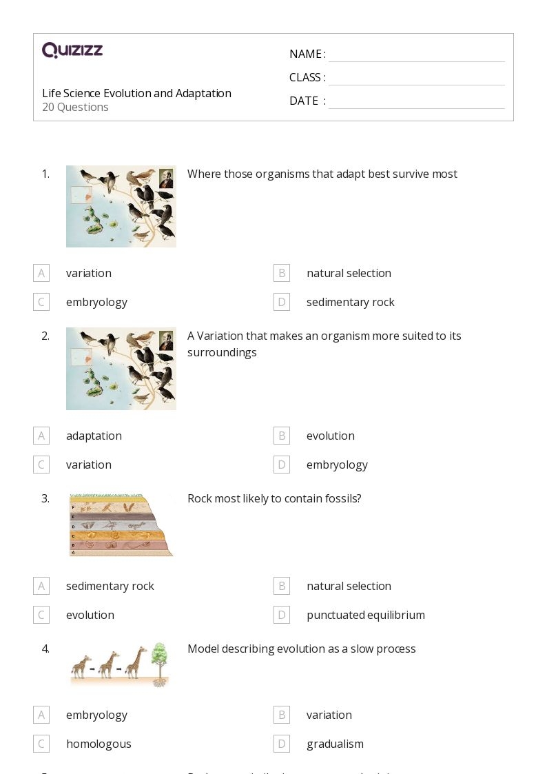 Free Printable 7th Grade Science Worksheets