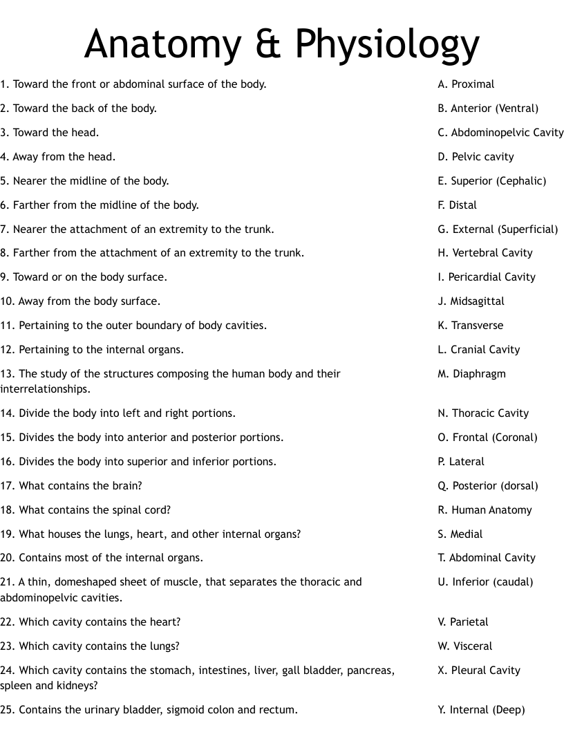 Anatomy And Physiology Worksheets Printable