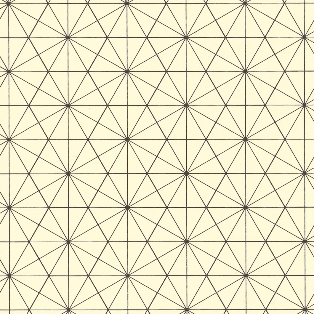 Hexagon On Graph Paper