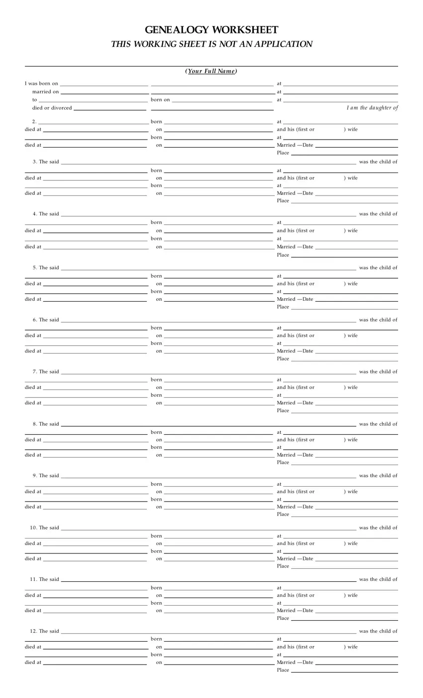 Printable Genealogy Forms Individual Worksheet