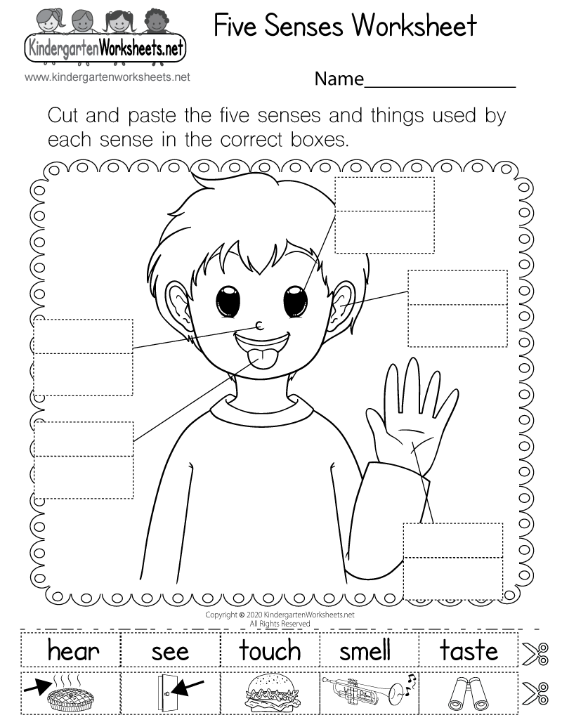 Five Senses Worksheet Free Printable Digital amp PDF