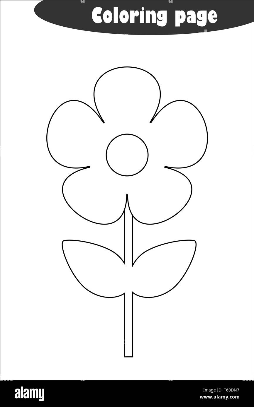 Flower Worksheet Printable