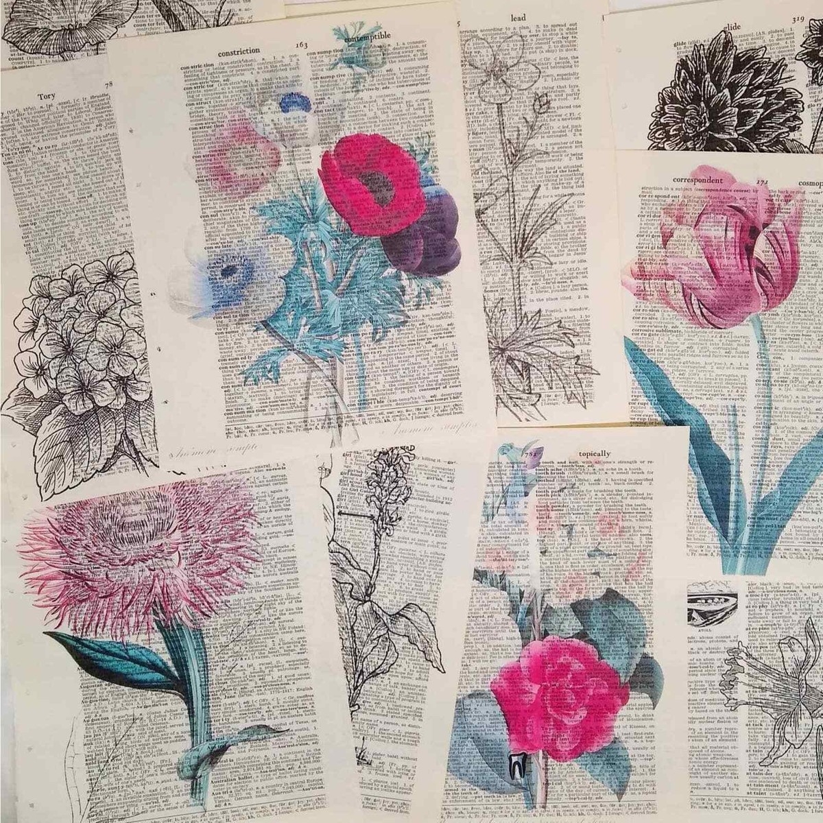Flower Vintage Dictionary Prints Colorful Floral Prints Book Page Prints EBay Australia