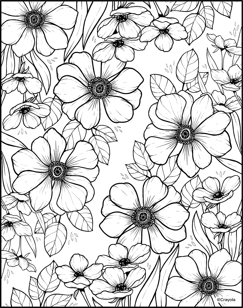Free Printable Coloring Pages For Adults Crayola