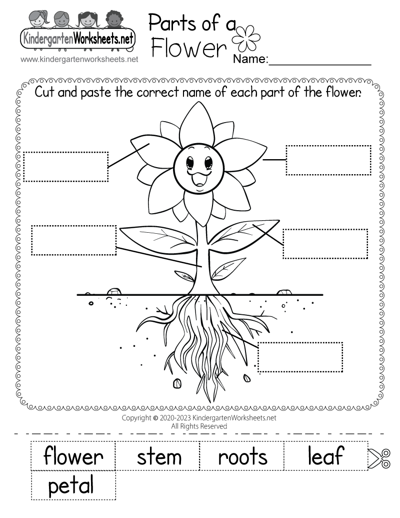 Flowers Printable Worksheets