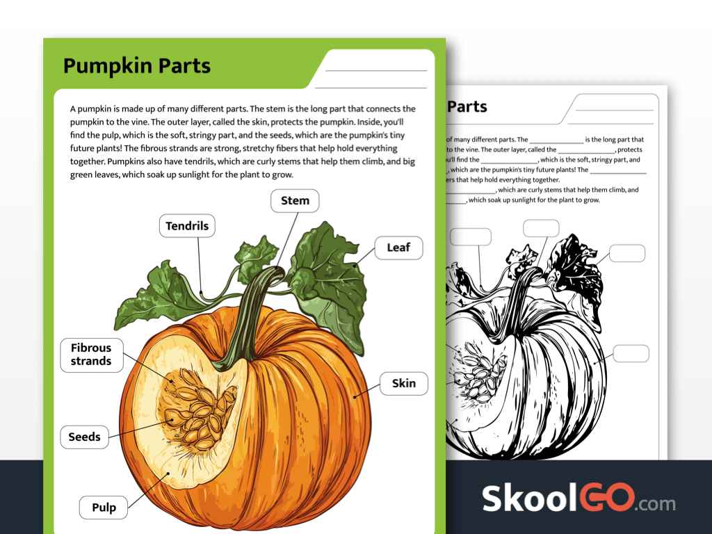 Free Printable Parts Of A Pumpkin Worksheet