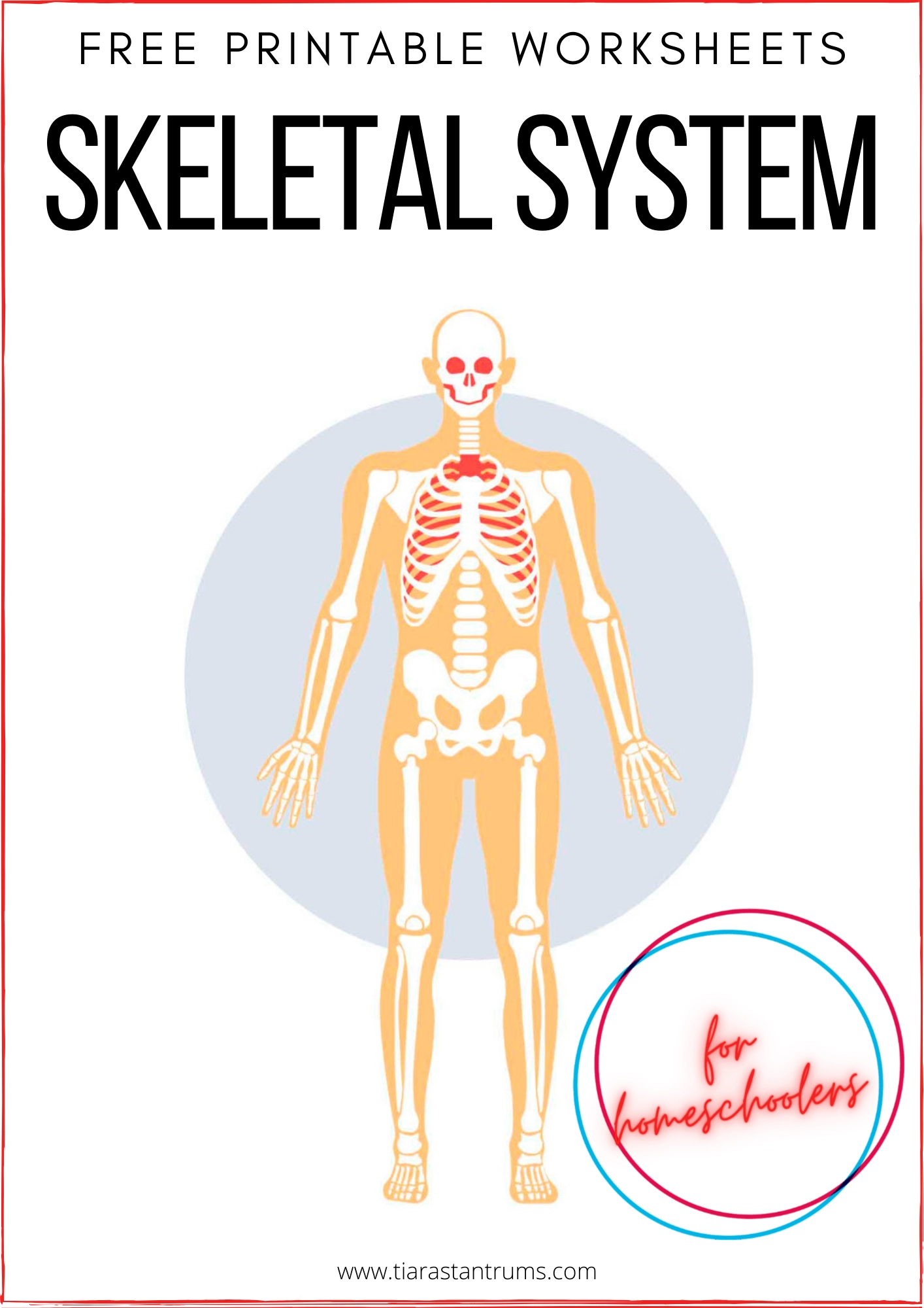 Free Printable Skeletal System Worksheets