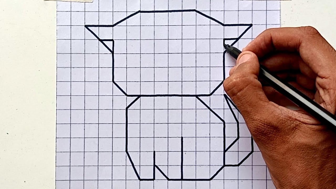 Drawing On Graph Paper With Coordinates