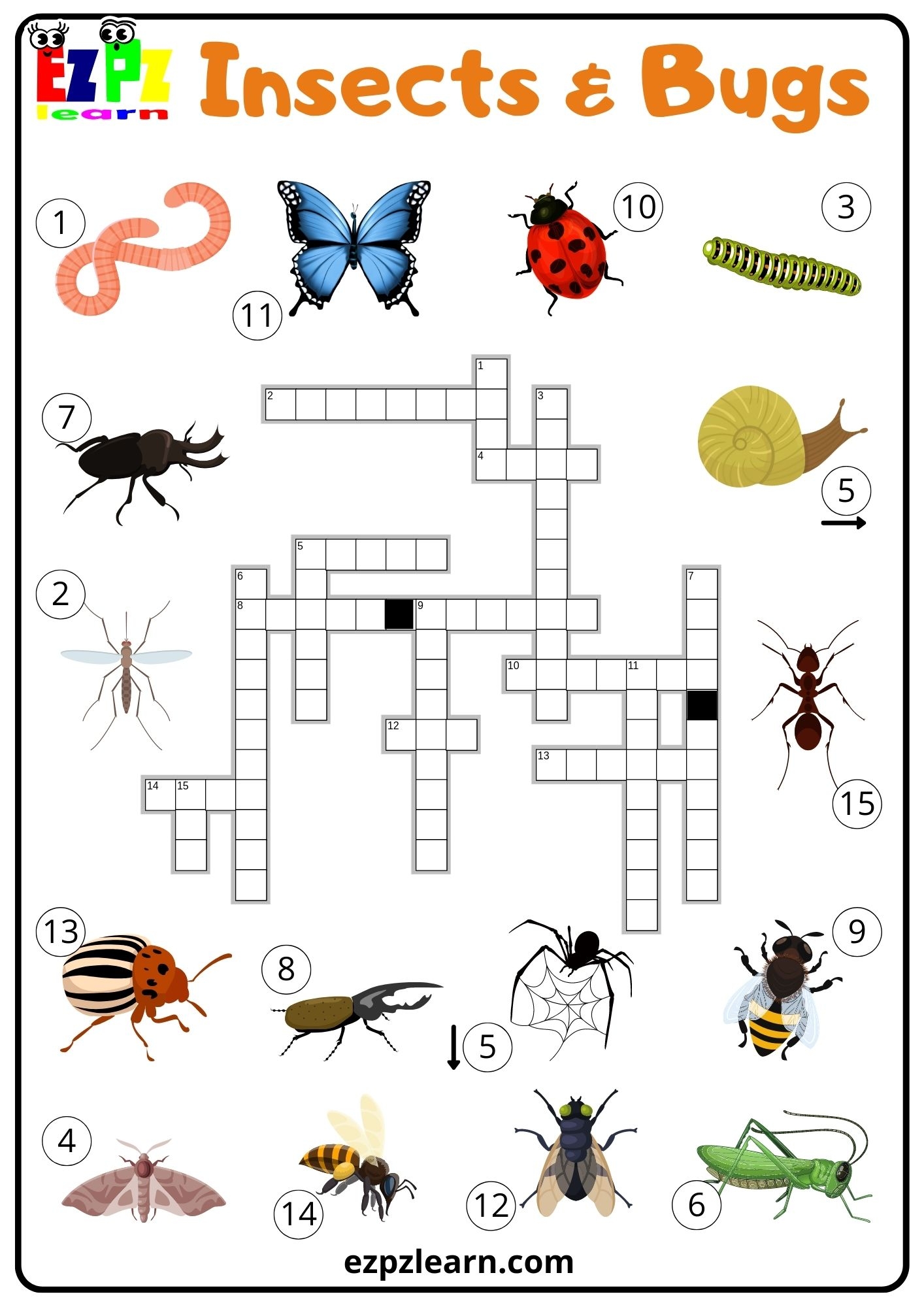 Insects And Bugs Crossword Ezpzlearn