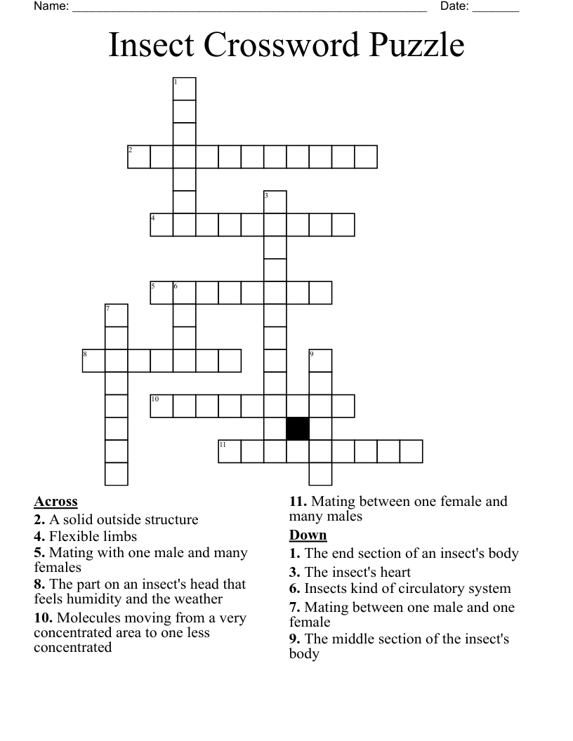Free Printable Crossword Puzzles Insects