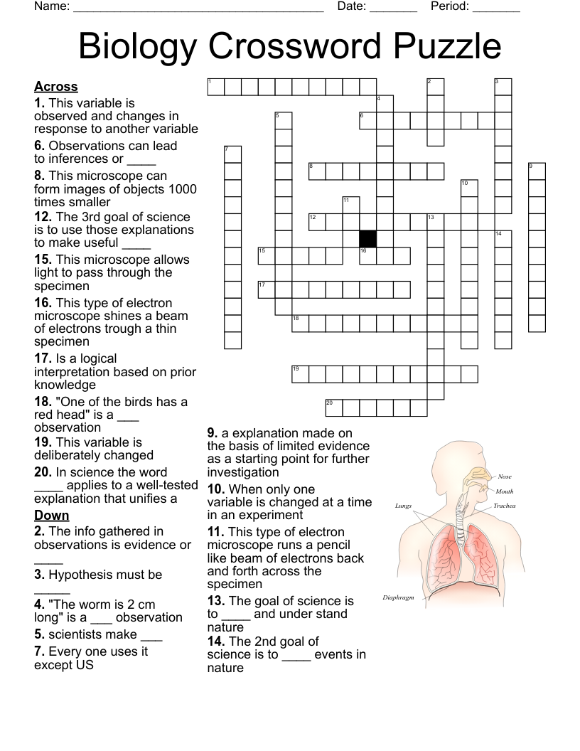 Printable Crossword Puzzles Science