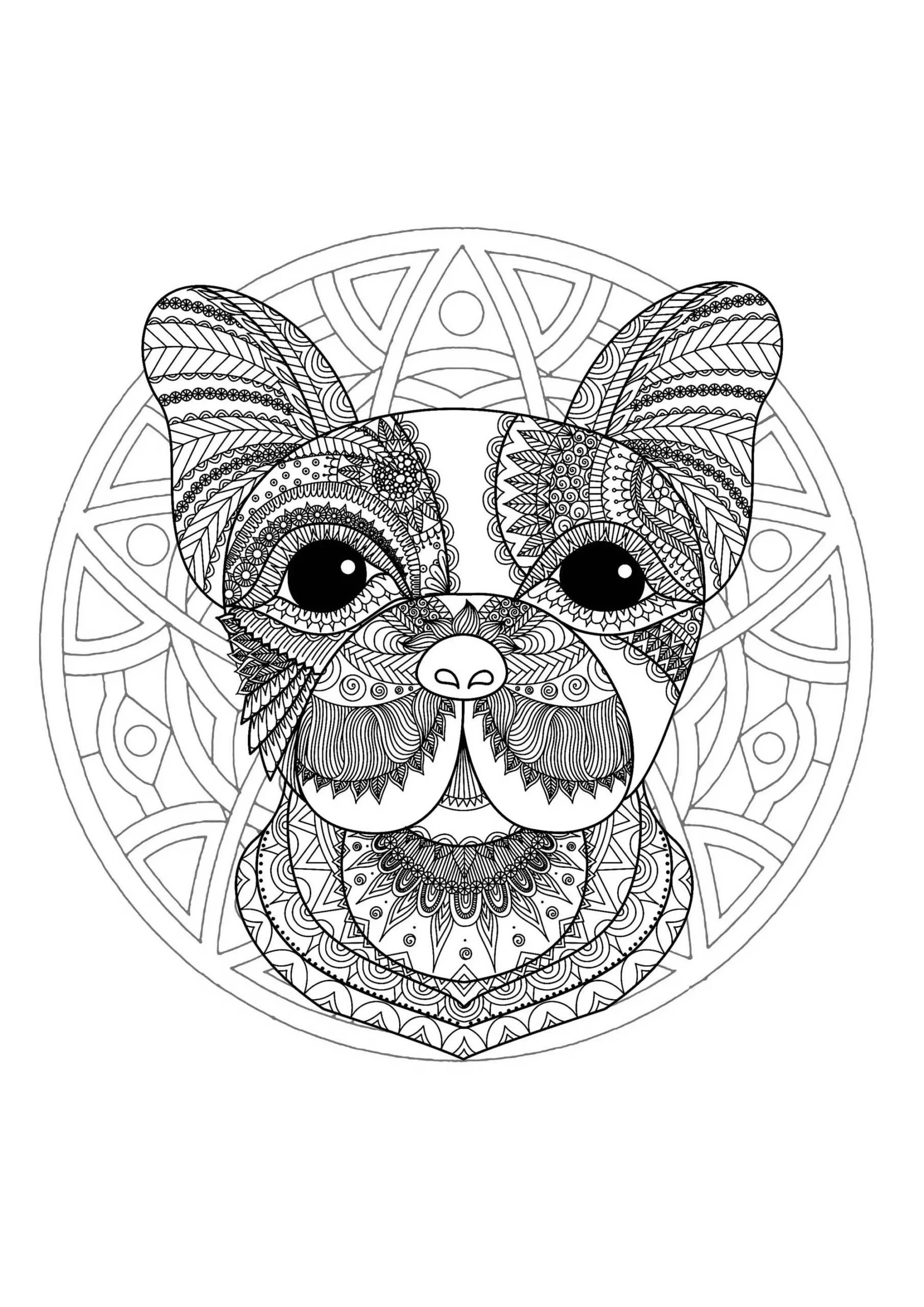 Mandala With Funny Dog Head And Elegant Patterns Mandalas Coloring Pages For Adults