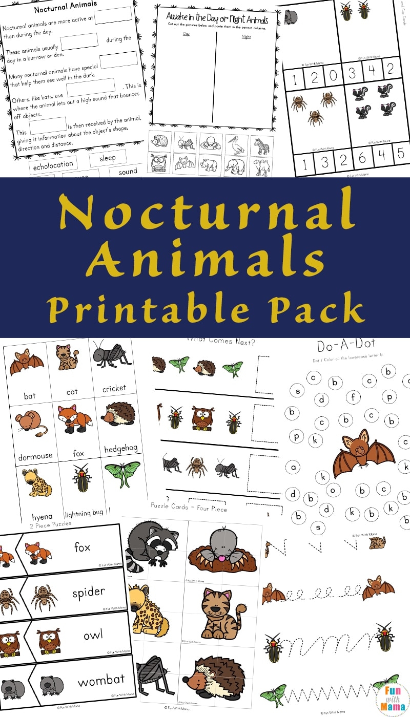 Free Printable Nocturnal Animals Worksheets