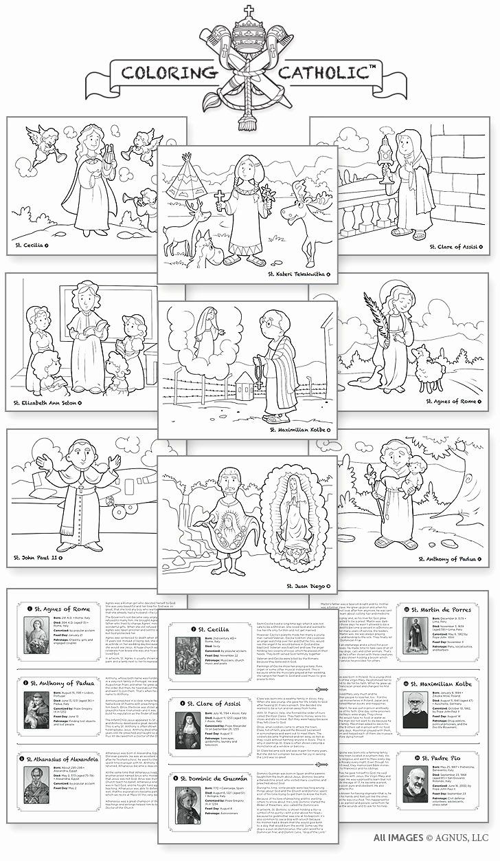 Order Of The Mass Worksheet Lovely Catholic Mass Parts In Order 