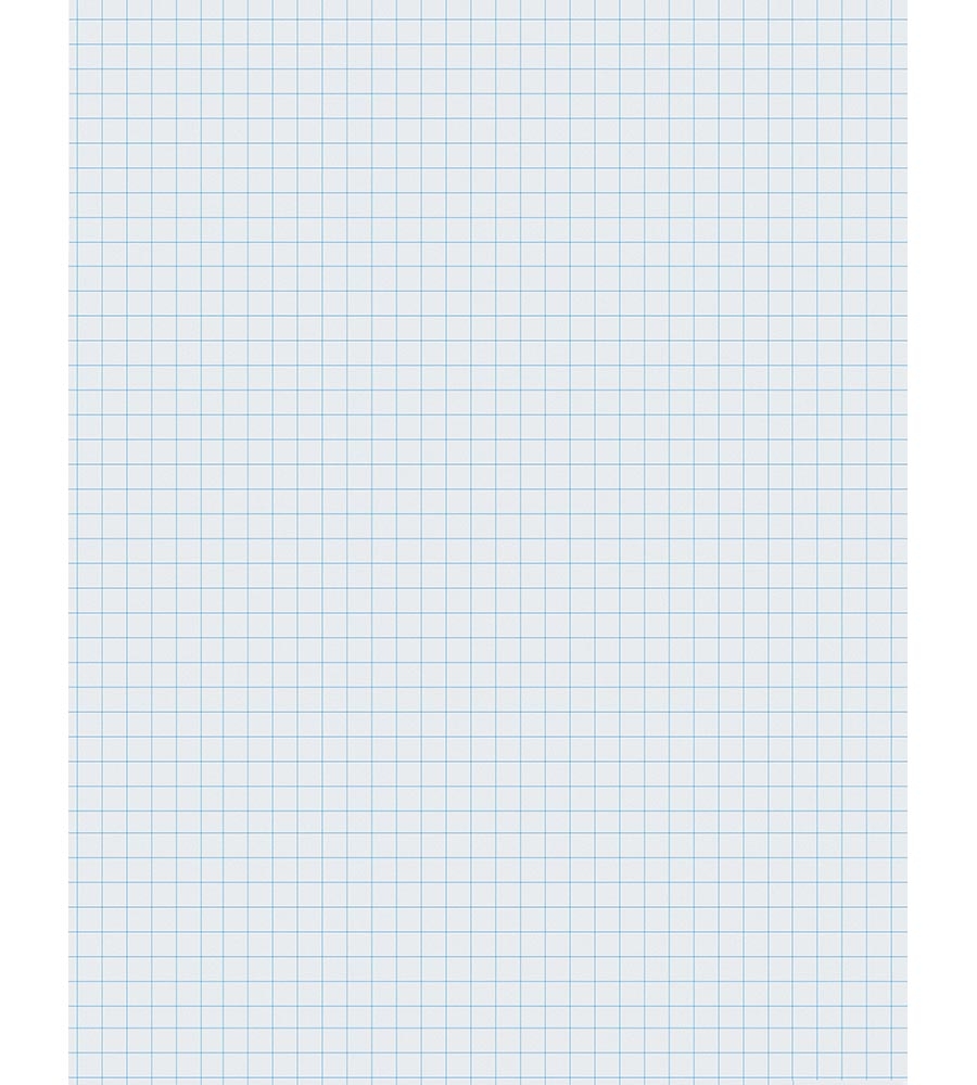 Full Sheet Graph Paper