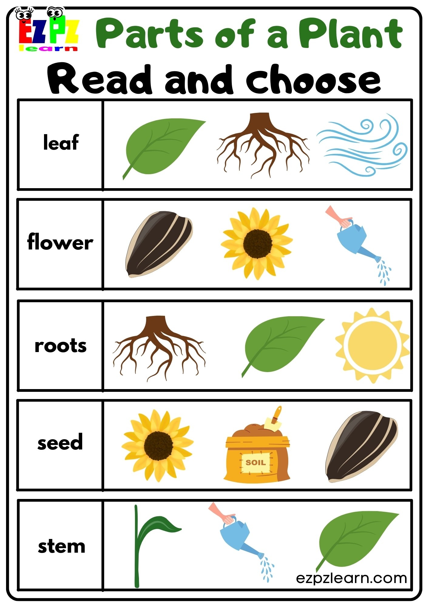 Parts Of A Plant Read And Choose Worksheet For Kindergarten Or ESL 