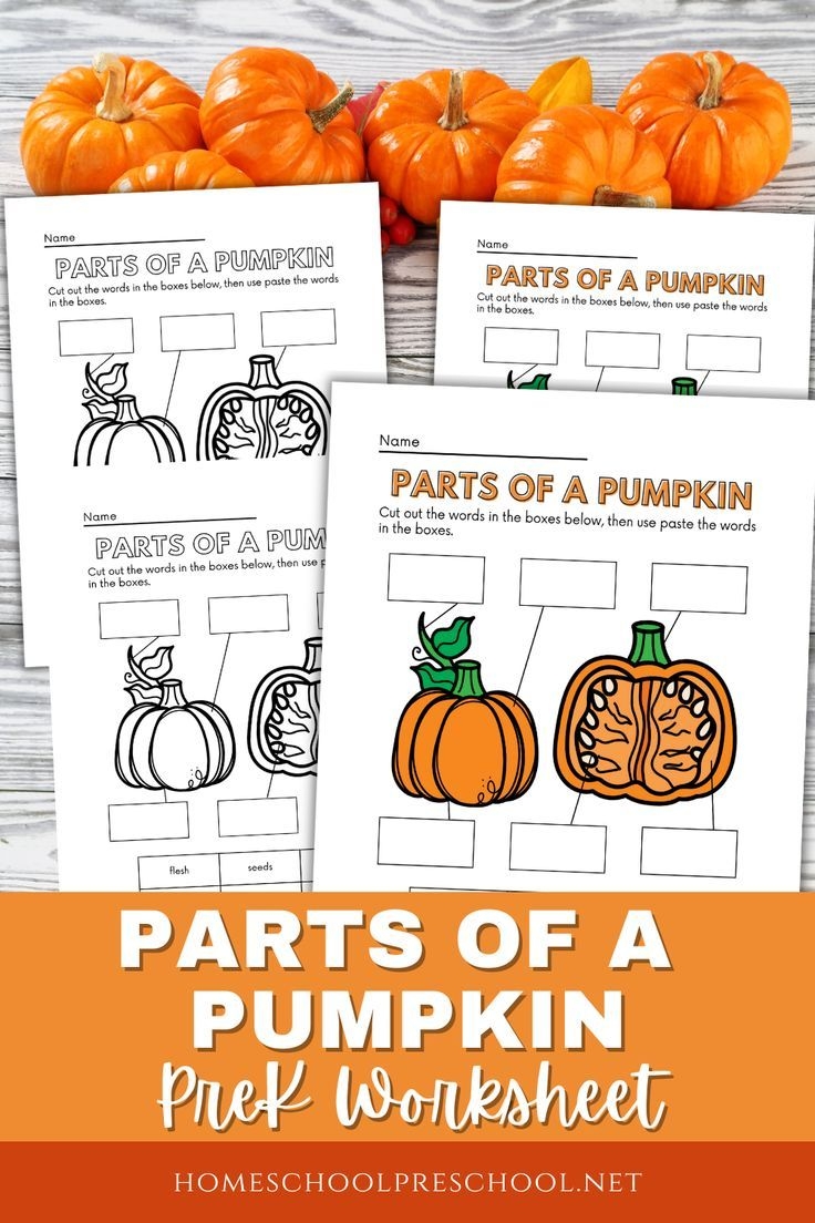 Parts Of A Pumpkin Worksheets
