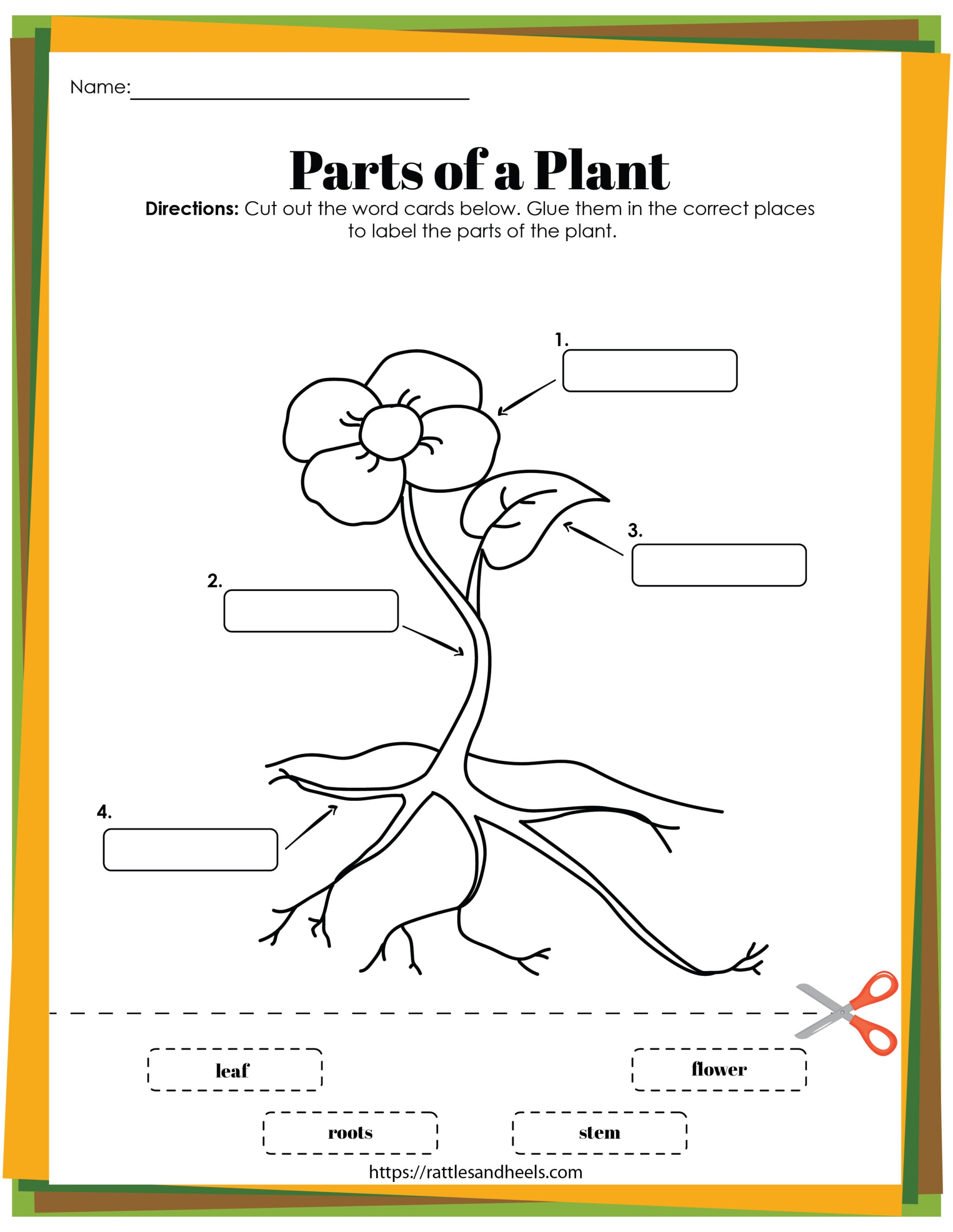 Free Printable Parts Of A Plant Worksheet