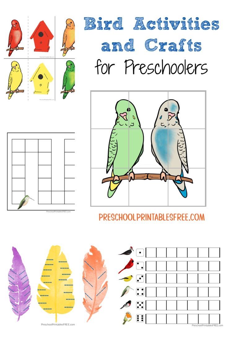Preschool Bird Activities