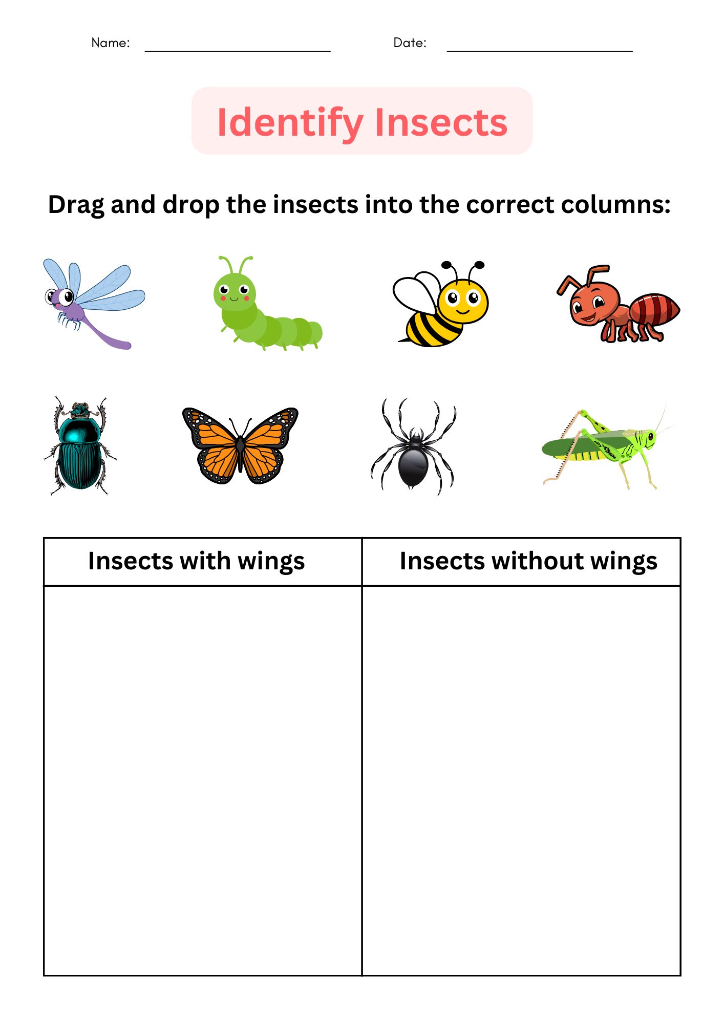 Printable Insects Worksheet For Kindergarten Identify And 