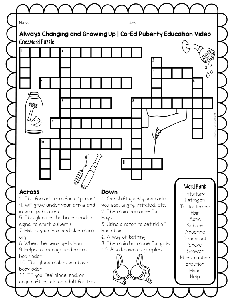 Puberty Lesson And Pamphlet Bundle Made By Teachers Worksheets 