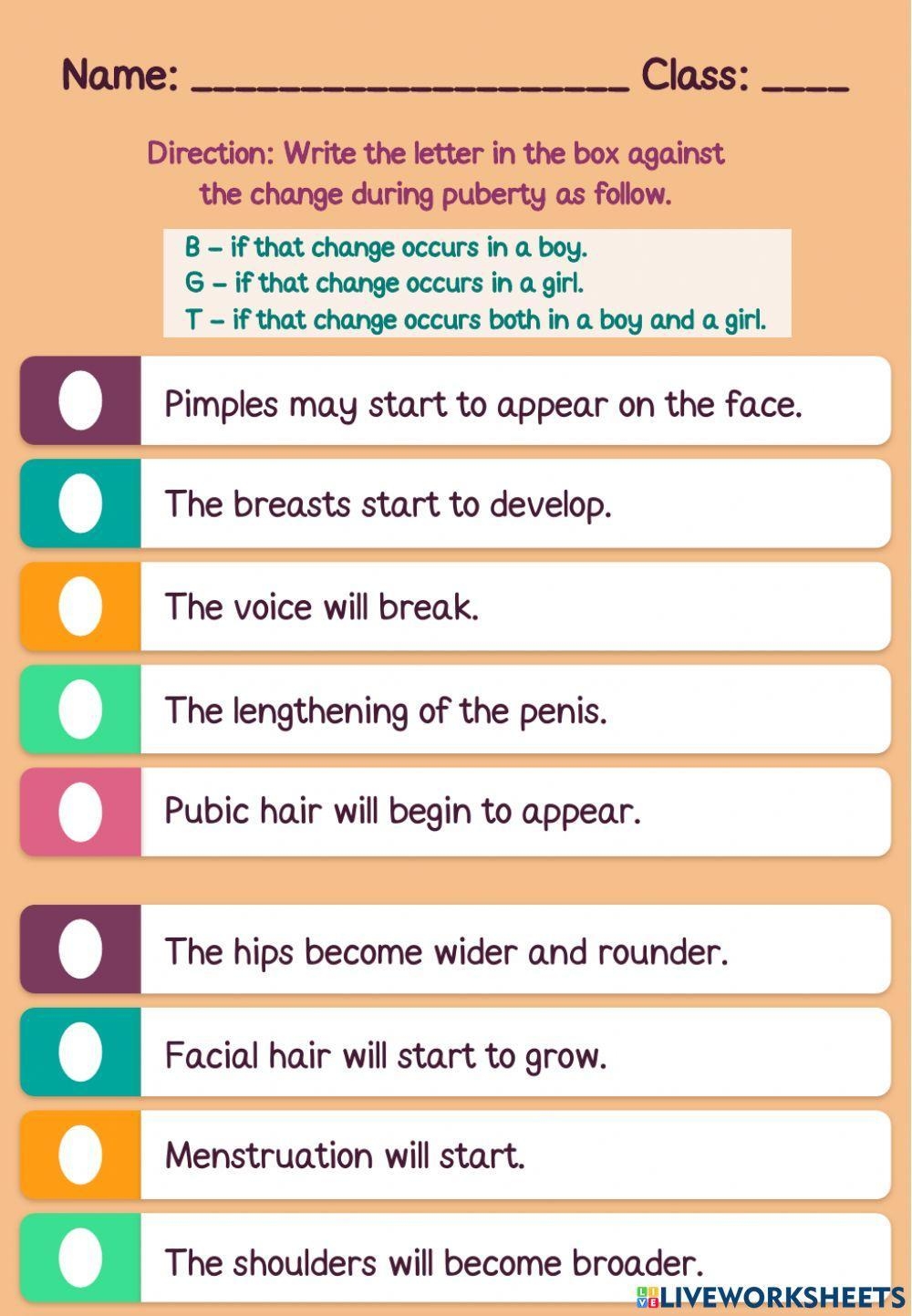 Free Printable Puberty Activity Worksheets