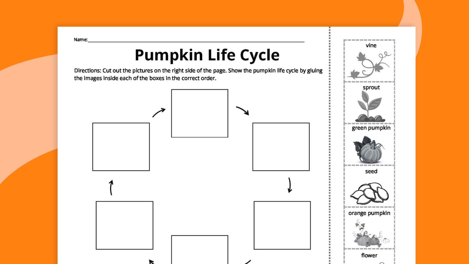 Free Printable Pumpkin Worksheets