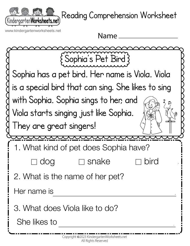Reading Comprehension Worksheet Free Printable Digital amp PDF
