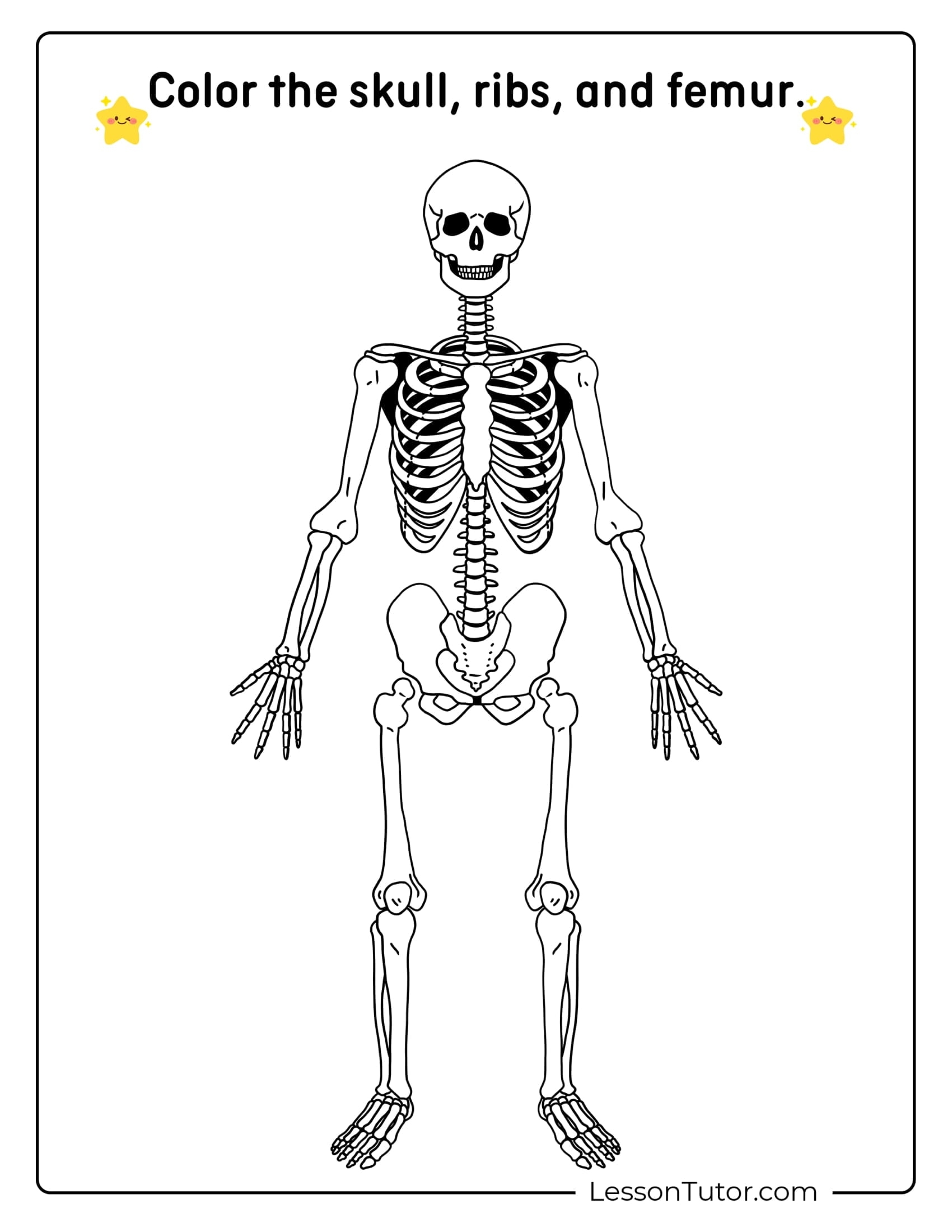 Printable Skeleton Worksheet